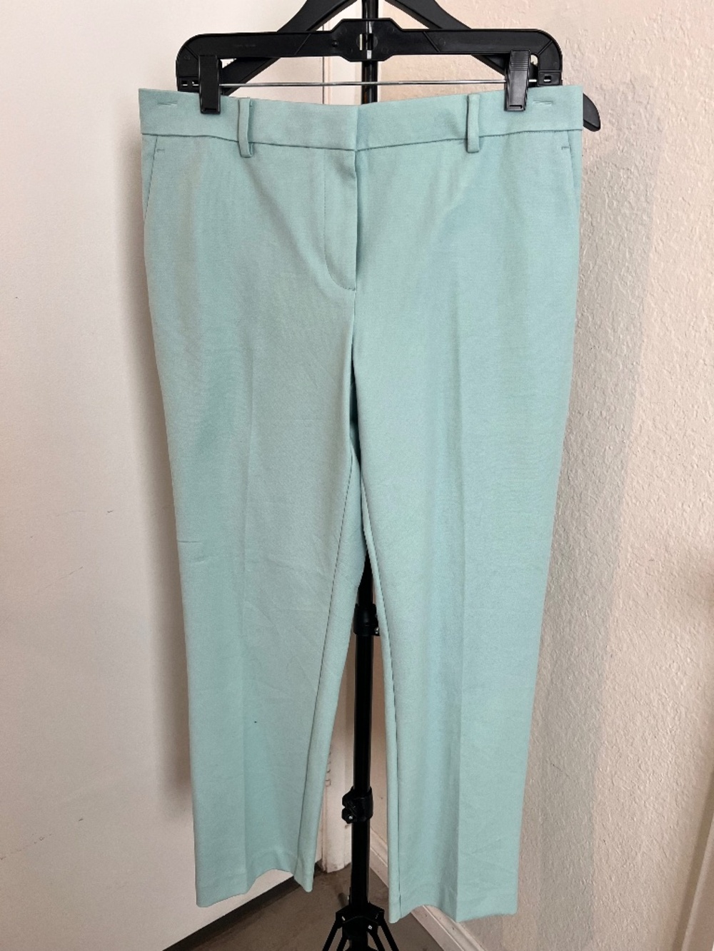 Ann Taylor "Eva" Pistachio Green NWT Trousers | Size 8